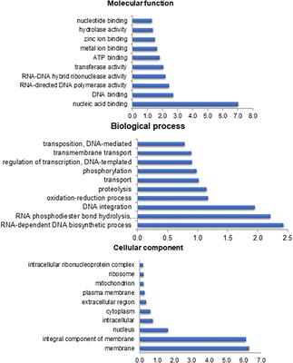 The South American Fruit Fly: An Important Pest Insect With RNAi-Sensitive Larval Stages